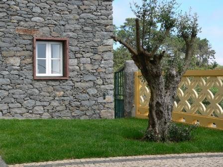 Colina Da Faja Alloggio per agriturismo Fajã da Ovelha